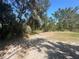 View of home's cleared backyard, showcasing tropical trees and plants around the perimeter at 432 Olivia Rd, Venice, FL 34293