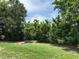 Image of a vacant lot for sale with mature trees offering privacy and potential for building a dream home at 432 Olivia Rd, Venice, FL 34293