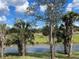 Scenic backyard view featuring lush greenery, serene water feature, and palm trees at 1790 New London St, North Port, FL 34288