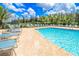 Community pool with inviting lounge chairs surrounded by lush tropical landscaping and clear blue sky at 25120 E Lenox Cir, Punta Gorda, FL 33950