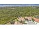 Aerial view of single-Gathering homes near ponds, mature trees and roads at 2892 Myakka Creek Ct, Port Charlotte, FL 33953