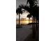 Tranquil beach scene at sunset with palm trees framing the serene ocean view at 21422 Mallory Ave, Port Charlotte, FL 33952