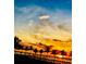Beautiful sunset sky with golden and blue hues, complemented by palm trees at 21422 Mallory Ave, Port Charlotte, FL 33952