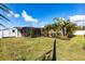 Spacious backyard with a shed, screened-in lanai, and lush palm trees at 3348 Pinetree St, Port Charlotte, FL 33952