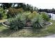 Well-maintained landscaping with bushes and a parking area at 4000 Oakview Dr # L2, Punta Gorda, FL 33980