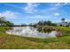 Scenic view of a tranquil pond surrounded by lush greenery and mature trees at 3 Bermuda Cir # 49, Englewood, FL 34223