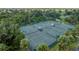 Aerial view of community tennis courts surrounded by trees and lush landscaping at 10488 Princess Ct, Punta Gorda, FL 33955