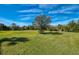 Spacious backyard showcasing lush green grass and mature trees, ideal for outdoor activities at 13049 Creekside Ln, Port Charlotte, FL 33953
