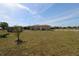 Spacious backyard showcasing well-maintained lawn, a privacy fence, and mature landscaping at 30035 Alder Rd, Punta Gorda, FL 33982