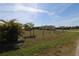 Backyard featuring a view of the home, landscaping, and privacy fencing at 30035 Alder Rd, Punta Gorda, FL 33982