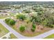 Community aerial view showcasing the neighborhood's layout and surrounding trees at 3391 Rogue St, North Port, FL 34291