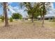 Large backyard with mature trees and plenty of space for outdoor activities at 3391 Rogue St, North Port, FL 34291