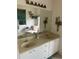 Bathroom vanity with dual sinks and decorative hanging plants at 3816 N Cranberry Blvd, North Port, FL 34286