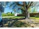 Expansive backyard with a mature tree providing shade and character to the green lawn at 434 W Grace St, Punta Gorda, FL 33950