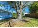 Beautiful backyard features a large, mature tree providing ample shade to the lush green lawn at 434 W Grace St, Punta Gorda, FL 33950