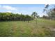 Spacious backyard featuring a chainlink fence, a well-maintained lawn, and privacy from surrounding trees at 25069 Bolivar Dr, Punta Gorda, FL 33983