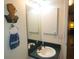 Bathroom sink with dark green countertops, a large mirror, and themed decor at 5098 Adina Cir, North Port, FL 34291