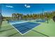 Outdoor pickleball courts fenced in and surrounded by lush landscaping and trees, creating a great recreation area at 7304 W Lenox Circle, Punta Gorda, FL 33950