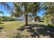 Lush backyard with palm trees and a screened-in pool, offering a private and tropical retreat at 165 Cummins Ne Ave, Port Charlotte, FL 33952
