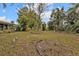 Expansive backyard with a mix of mature trees and tropical landscaping offering a private retreat at 22385 Olean Blvd, Port Charlotte, FL 33952
