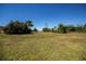 This sprawling backyard features lush green grass and mature trees at 26089 Templar Ln, Punta Gorda, FL 33983