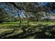 Spacious backyard with mature trees offers plenty of room for recreation and enjoying the outdoors at 1420 Winding Oak Dr, Port Charlotte, FL 33948