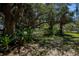 Lush backyard offers shade, mature trees, and tropical landscaping, creating a peaceful outdoor setting at 1420 Winding Oak Dr, Port Charlotte, FL 33948
