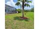 Landscaped backyard showcasing the screened pool enclosure, lush lawn, and decorative mulch beds, adding beauty and charm at 1563 Arundel Ave, North Port, FL 34288