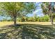 Spacious backyard featuring mature trees and lush green grass, perfect for outdoor activities at 25413 Prada Dr, Punta Gorda, FL 33955