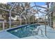 Lovely screened-in pool with views of the yard, trees, and canal at 3436 Discovery Dr, Punta Gorda, FL 33983