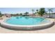 View of the inviting community pool featuring palm trees and lounge chairs at 175 Kings Hwy # 717, Punta Gorda, FL 33983