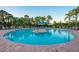 Beautiful swimming pool featuring lounge chairs and palm trees creating a relaxing outdoor oasis at 2436 Arugula Dr, North Port, FL 34289