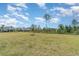 Large grassy backyard with view of the neighborhood, featuring a treeline in the distance at 43914 Blue Heron Ln, Punta Gorda, FL 33982