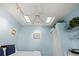 Bedroom with ceiling fan, skylights, blue walls, and art; well lit and relaxing at 238 Southampton Dr # 319, Venice, FL 34293