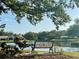 Scenic view of community lake with bench seating, lush greenery, and peaceful waterfront atmosphere at 238 Southampton Dr # 319, Venice, FL 34293