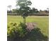 Spacious backyard featuring a manicured lawn, mature landscaping, and partial privacy fence at 43735 Cattleman Dr, Punta Gorda, FL 33982