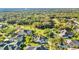 A sprawling aerial view showing houses backing to wooded nature area offering serene privacy and a beautiful neighborhood setting at 1068 Harbour Cape Pl, Punta Gorda, FL 33983