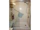 Accessible walk-in shower with grab bars and sliding glass door for comfort and convenience at 25188 Marion Ave # F106, Punta Gorda, FL 33950