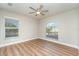 Bedroom featuring wood-look floors, gray walls, a ceiling fan, and two large windows at 422 Ravenswood Blvd, Port Charlotte, FL 33954