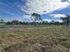 Large grassy backyard with a mature tree at 8136 Sweden Blvd, Punta Gorda, FL 33982