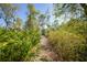 Picturesque tree-lined path for taking a walk at 16180 Forest Glen Ct, Punta Gorda, FL 33982