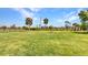 Spacious grassy backyard with palm trees and black metal fence under a sunny sky at 7028 N Plum Tree, Punta Gorda, FL 33955