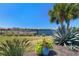 Scenic backyard with waterfront views, dock access, and beautifully landscaped greenery at 2001 Bal Harbor Blvd # 2312, Punta Gorda, FL 33950
