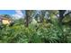 Lush backyard with garden area, shed, pond and greenery at 3357 Vassar St, Port Charlotte, FL 33980