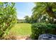 Spacious backyard featuring lush green lawn and tropical landscaping for serene outdoor enjoyment at 552 Mccabe St, Port Charlotte, FL 33953