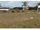 Backyard view with a small bird bath, a young palm tree, and a chain-link fence at 6249 Drucker Cir, Port Charlotte, FL 33981