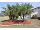 Palm trees and foliage around the pool in the backyard at 474 Elm Nw Ave, Port Charlotte, FL 33952