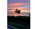 Beautiful sunset over the water with a silhouette of a tree and lush greenery in the foreground at 95 N Marion Ct # 226, Punta Gorda, FL 33950