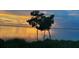 Scenic waterfront view at sunset with trees in the foreground at 95 N Marion Ct # 226, Punta Gorda, FL 33950