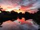 Vibrant canal-front backyard view with a colorful sunset reflecting on the water, surrounded by lush plants at 103 Curtis Ne Ter, Port Charlotte, FL 33952